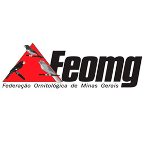 Em Geral